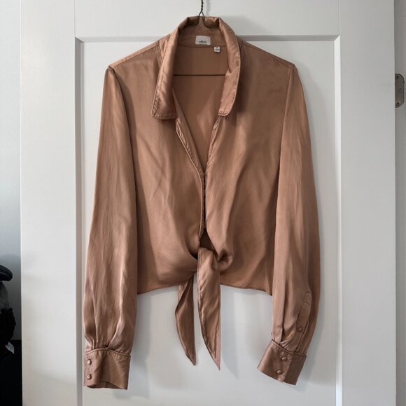 Aritzia Wilfred Peaufiner satin blouse in light copper - M - Picture 2 of 12